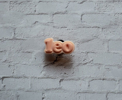 Printed Zodiac Name Shoe Charms