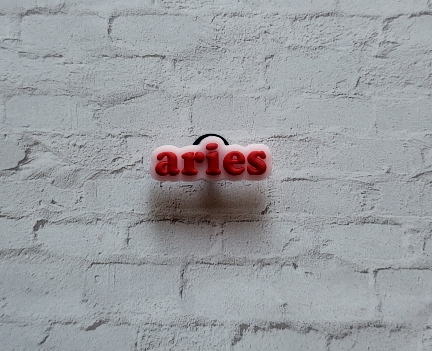 Printed Zodiac Name Shoe Charms