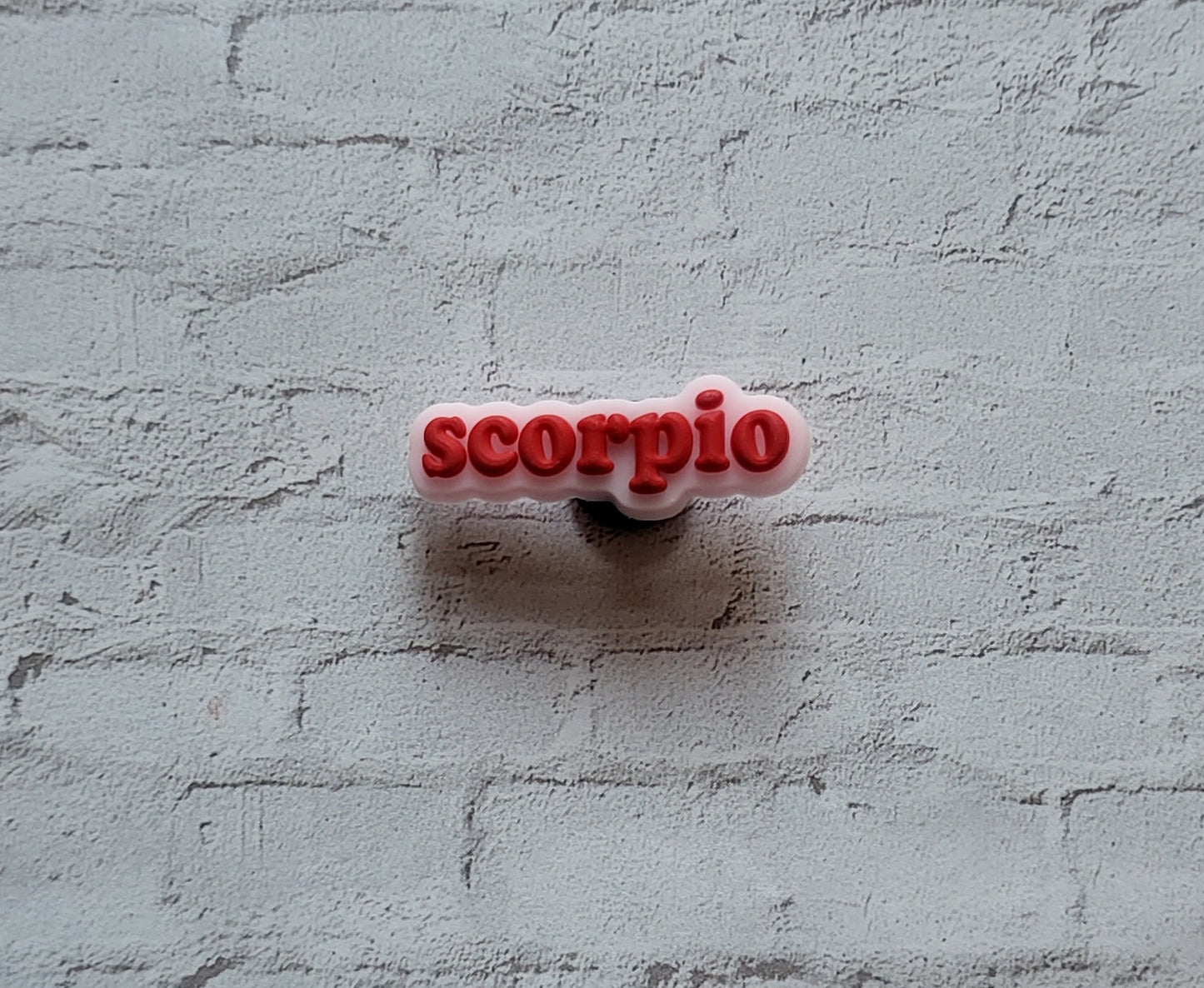 Printed Zodiac Name Shoe Charms