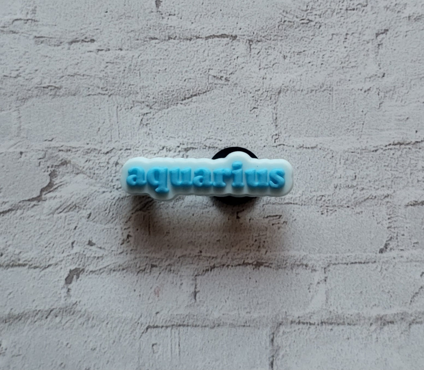 Printed Zodiac Name Shoe Charms